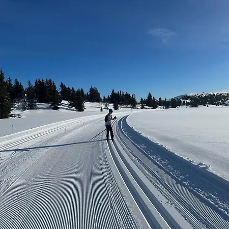 Semesterbostad Tommerhytte I Valdres Med Panoramautsikt Over Fjellene Aurdal