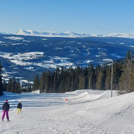 Feriehus Tommerhytte I Valdres Med Panoramautsikt Over Fjellene